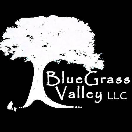 Avatar for BlueGrass Valley LLC